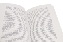 A Linhagem Cultural de S. Martinho de Dume e outros Estudos Dumienses