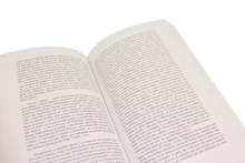 A Literatura de Teixeira Pascoaes [Romance de uma Obra]