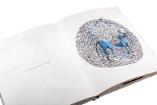 Desenhos em Volta de os Passos de Herberto Helder