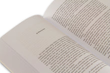 Dispersos (1880-1884) - Vol. II