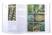 Evolução das Plantas