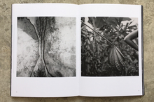 Ph. 05 José M. Rodrigues