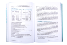 La proyeccion Internacional del español y el Portugués: el potencial de la proximidad linguística