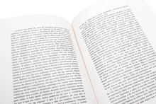 O Espelho Imaginário  - Pintura  Anti-Pintura  Não-Pintura