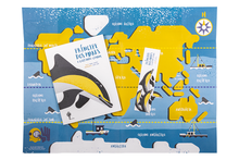 Príncipe dos Mares, O Golfinho-Comum