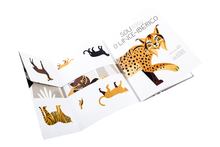 Sou o Lince Ibérico - O Felino Mais Ameaçado do Mundo