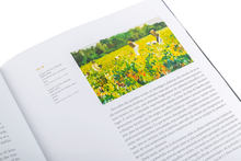 Terra adentro - A Espanha De Joaquín Sorolla