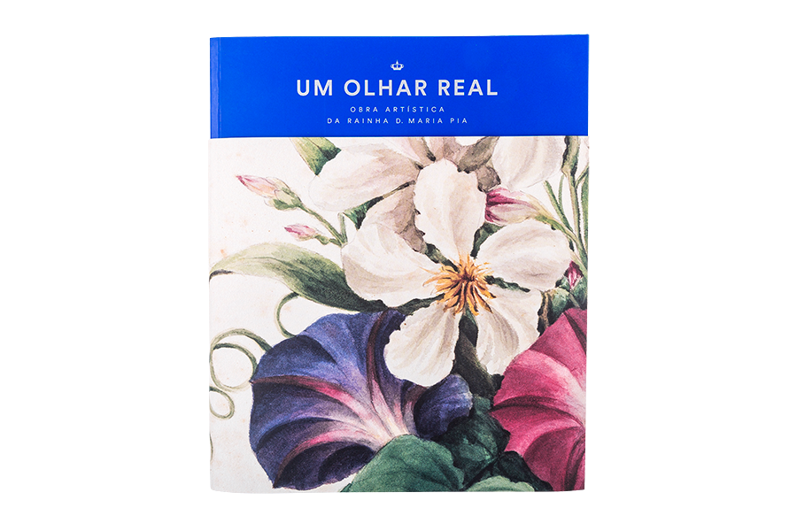 Image of  Um Olhar Real - Obra Artíst... 