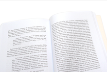 Uma Mãe Desconhecida - Amor e Perdição em Eça de Queiroz