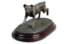 Cães de Raças Portuguesas - Cão de Fila de S. Miguel - Bronze