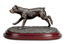 Cães de Raças Portuguesas - Cão de Fila de S. Miguel - Bronze